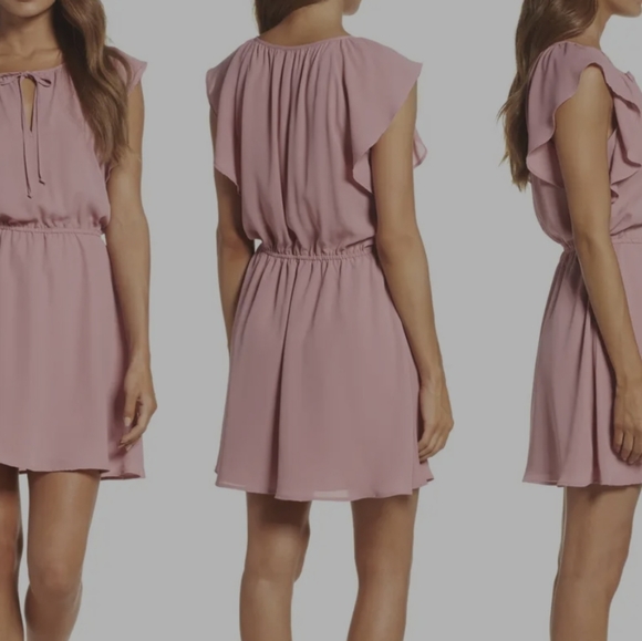 BB Dakota Adrienn Dusty Rose Fit & Flare Dress XS - Picture 5 of 11